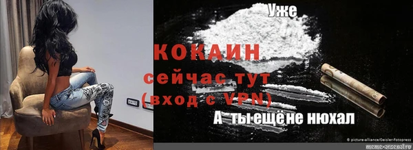 индика Армянск