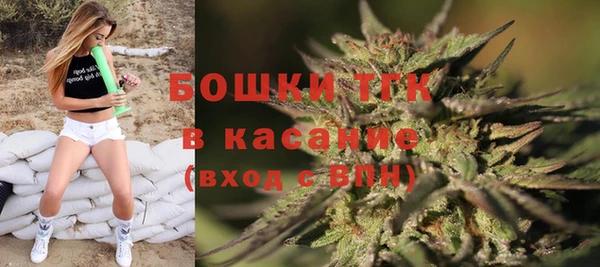 индика Армянск