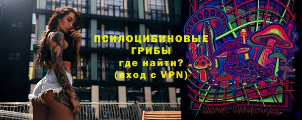 бошки Арсеньев