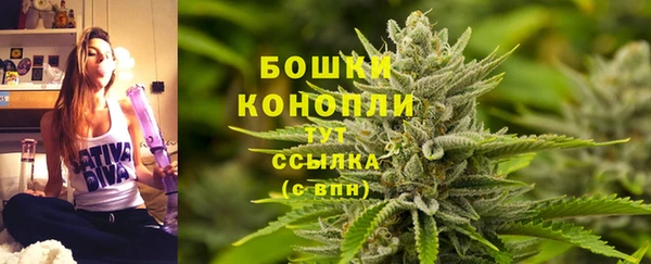 спиды Ладушкин