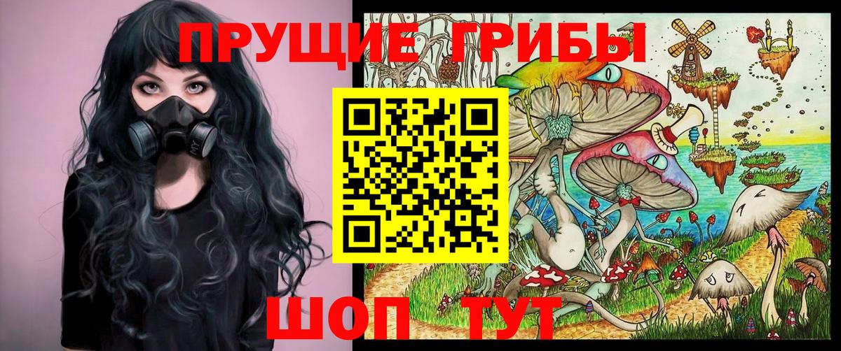 Галлюциногенные грибы Psilocybine cubensis Волгодонск