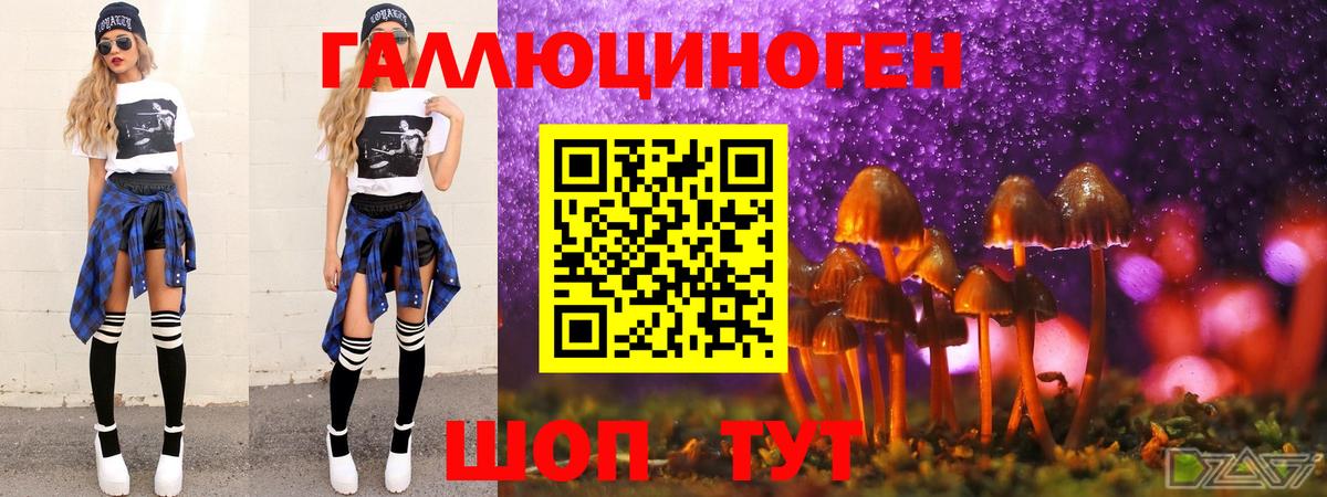 Волгодонск  Псилоцибиновые грибы Magic Shrooms  Вход с VPN 